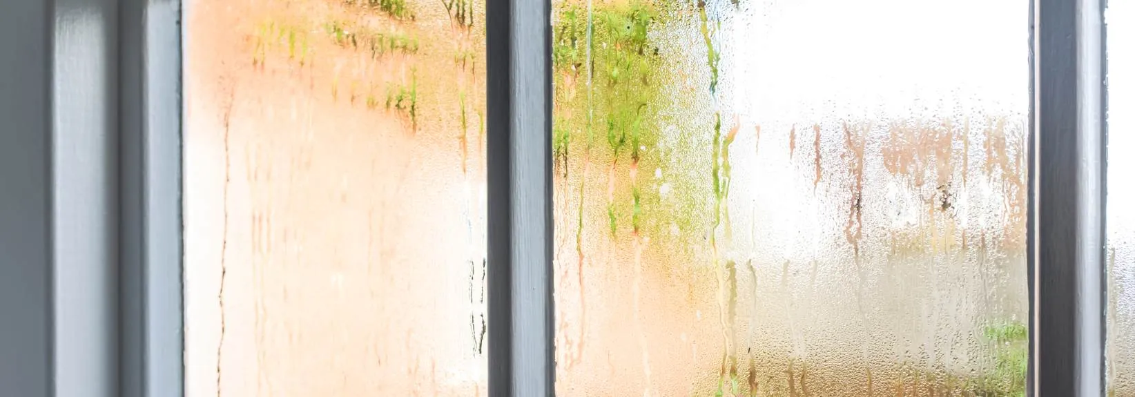 Can You Lower Humidity by Running the Air Conditioner? blog image