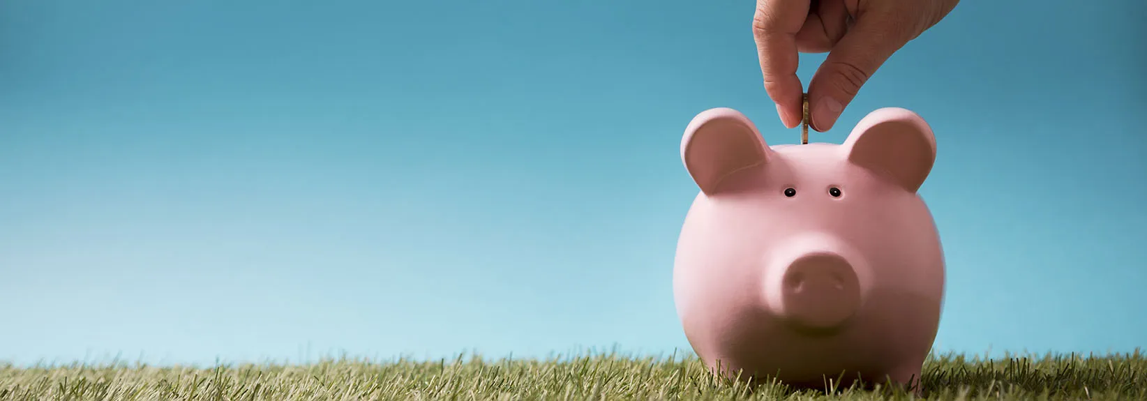 4 Tips for Saving Energy in Calgary This Summer  blog image